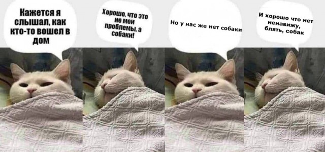 Весёлый полтишок 19.05.22