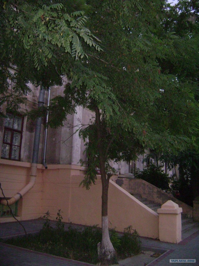 Поездка в Орджоникидзе. АР Крым