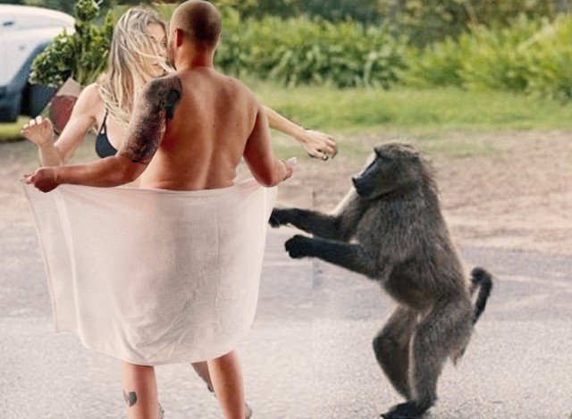 Фотожаба: Эксгибиционист