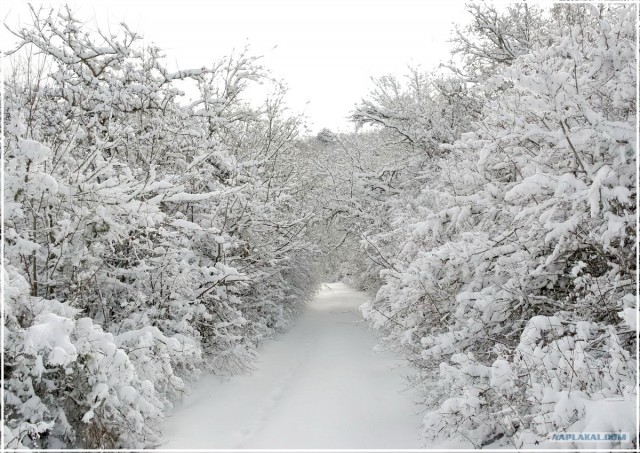Крым. Терновка. Зимние дороги.