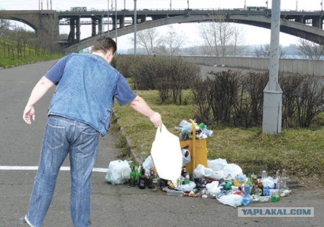 В Госдуму внесли проект об участии школьников в общественно-полезном труде