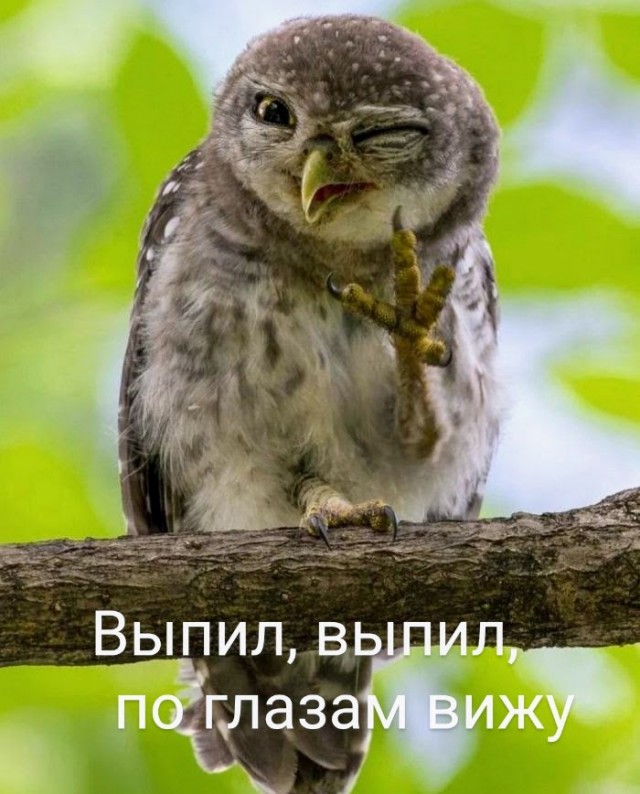 Одиннадцатая подборка самых баянистых баянов! Ностальгируем...