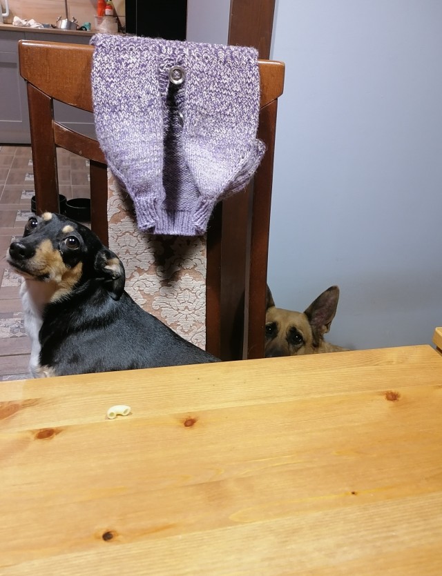 Даю установку на добро. Хочу на ручки. Ерунда. Приколы про котов и сосиски. Прости виноват исправлюсь.