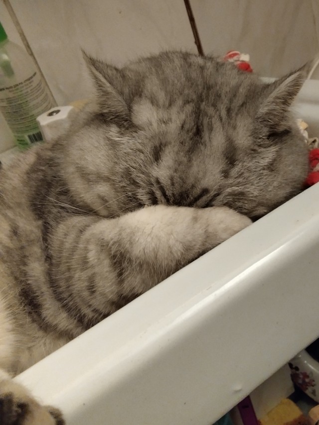 Умыться нереально