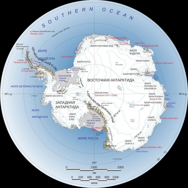 Ковид, Цифровая валюта и прочие радости