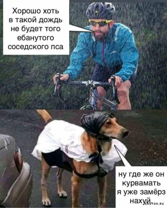 Пёс, резкий, как понос