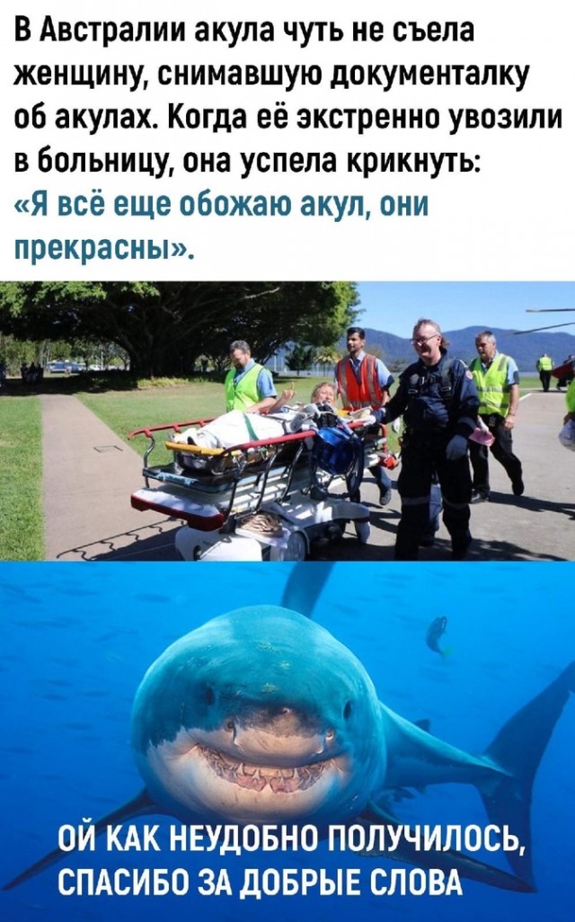 Так себе картинки 28.07.24
