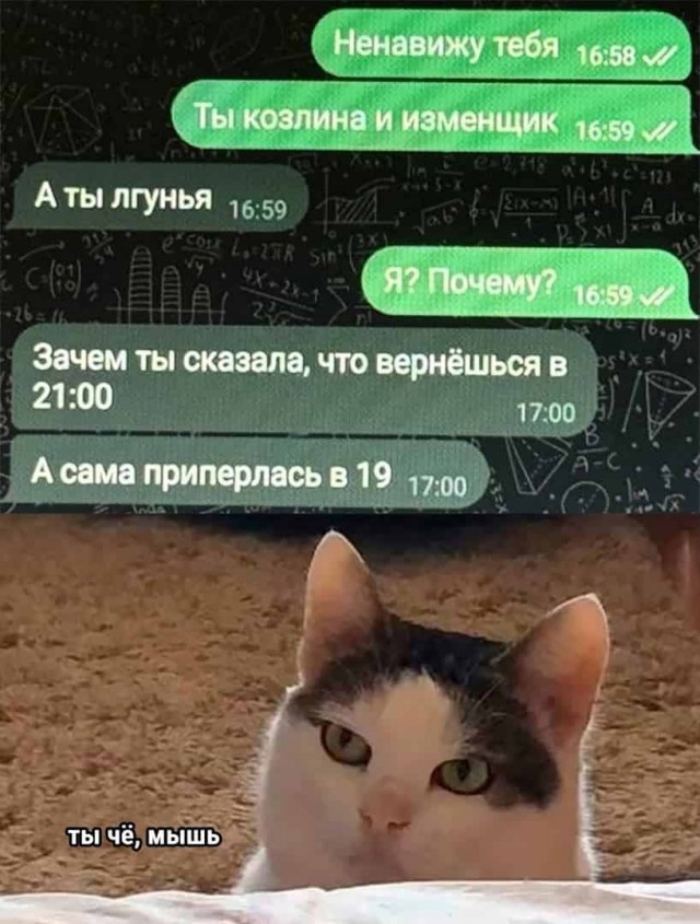 Отряд быстрого деградирования