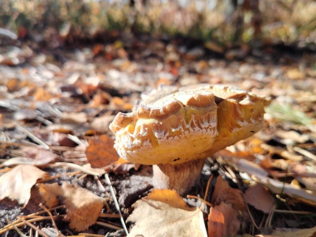 Осень на озёрах 2