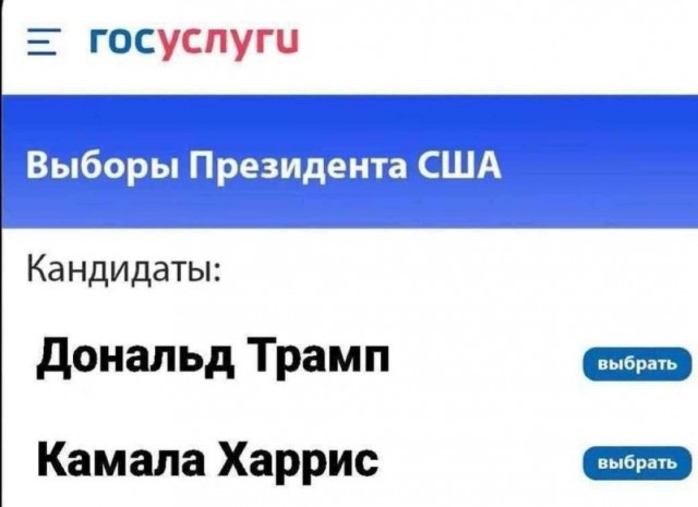 Оценивать работу депутатов через «Госуслуги» предложили россиянам