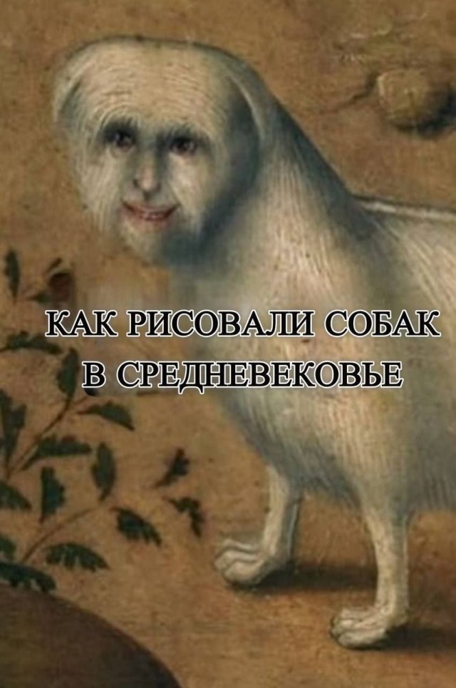 Завалялось тут случайно немного забавных картинок