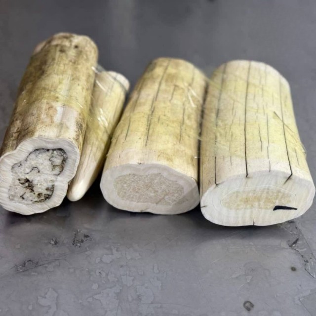 Бивни моржа в нижнем белье пыталась вывезти туристка из Читы в Китай