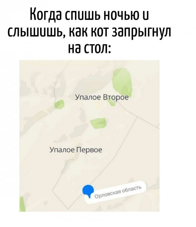 Картинки с надписями...