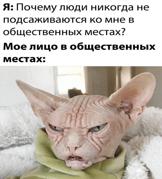 Среды картинки