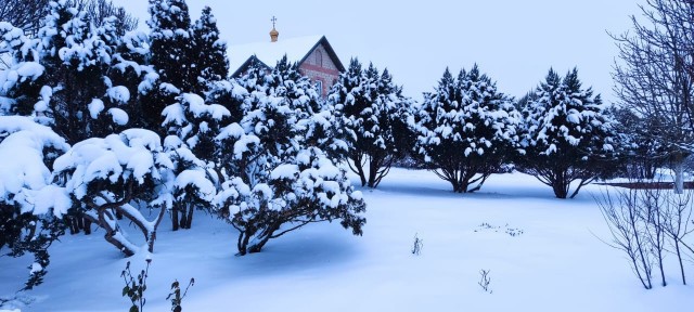 Зимняя дорога