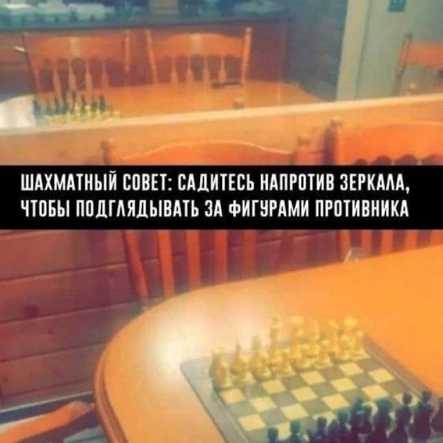 Нуштош 27.01.2026. Шахматный спецвыпуск