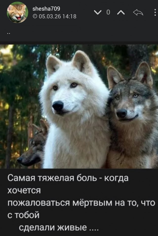 Картинки для деградации 153 (разной степени свежести)
