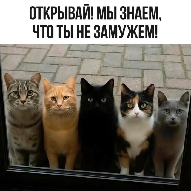 Смех да и только