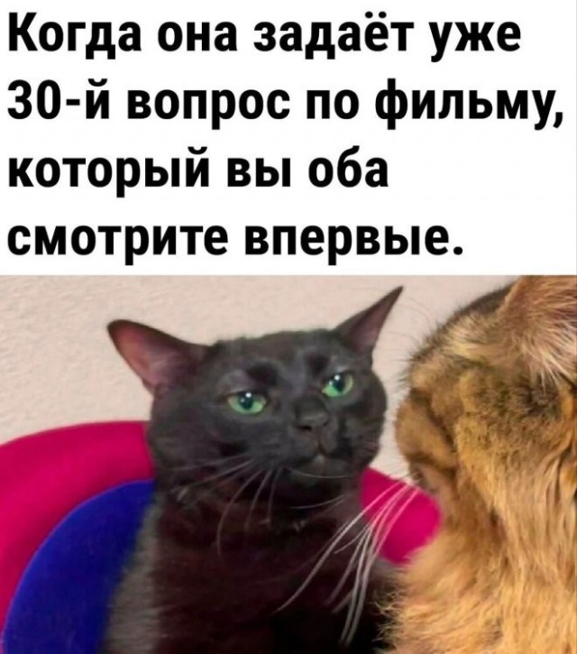 Немного картинок в четверг