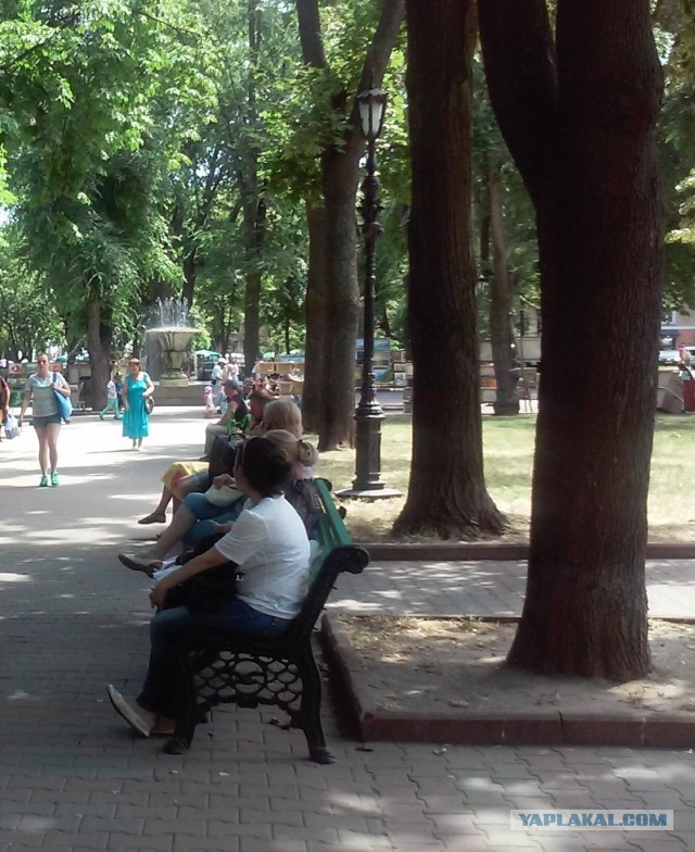 Одессе 232