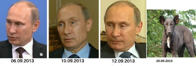 Три разных Путина