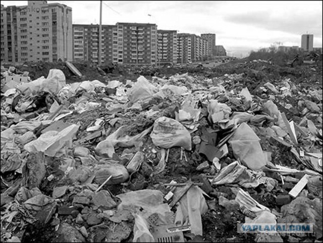 На злобу дня