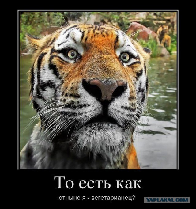 Подборка смешных картинок :)