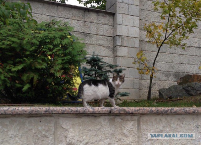 А что у Вас сейчас?