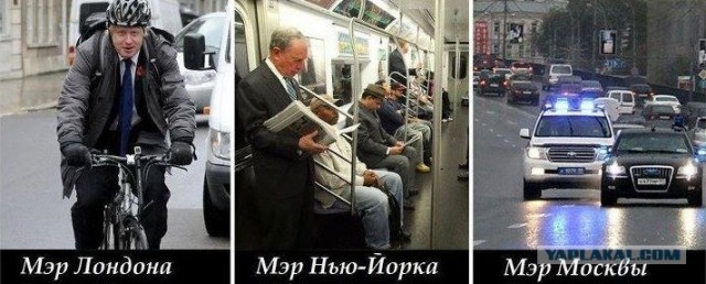 Владимир Путин ест из золотых тарелок