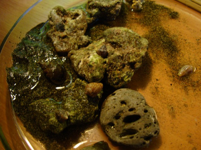Аквариум