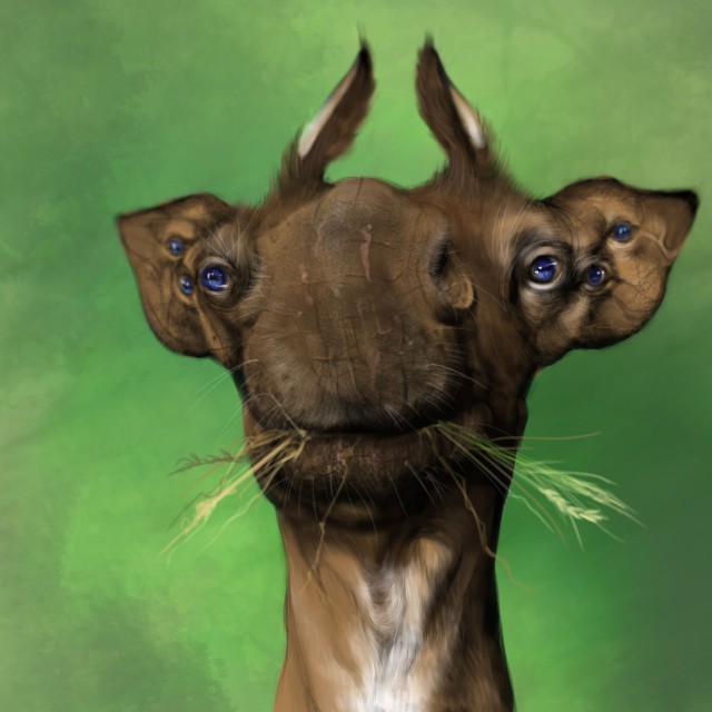 Инопланетяне, разумные и не очень. Концепт арт