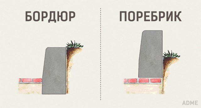 Питерцы! Вот он, настоящий ПОРЕБРИК! а у вас там БОРДЮРЫ!