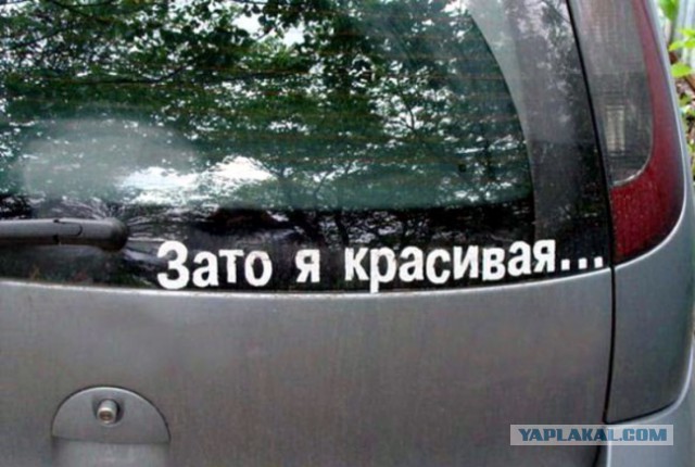 Что обычно водители пишут на своих автомобилях?