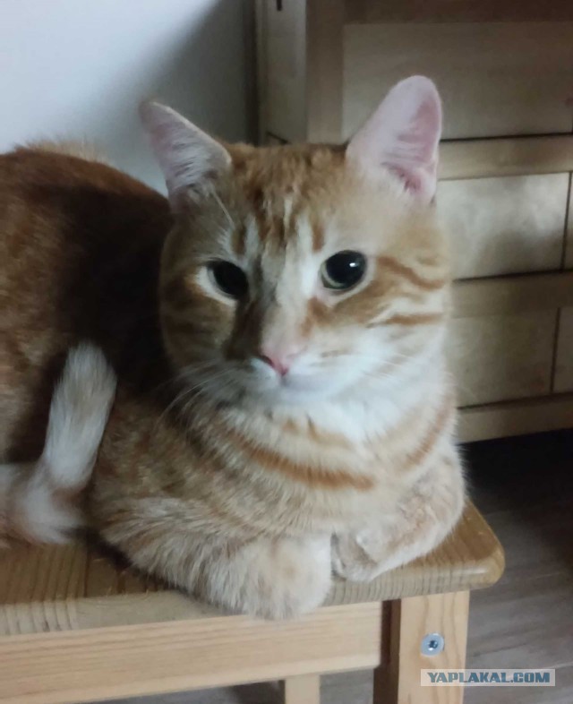 Те, которым мы помогли.