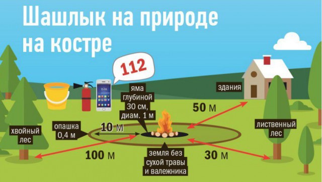 Липчане поплатятся за шашлык во дворе