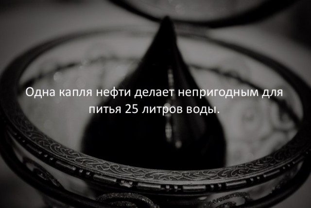 40 интересных фактов в картинках.
