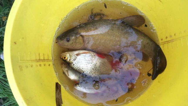 Отчет по весенней рыбалке-2017