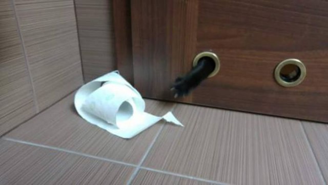 Смешные картинки