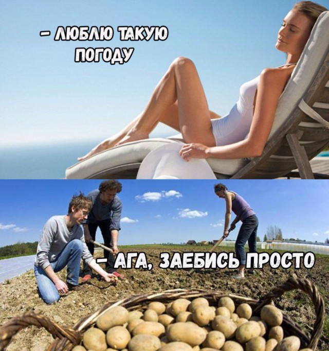 Порция картинок