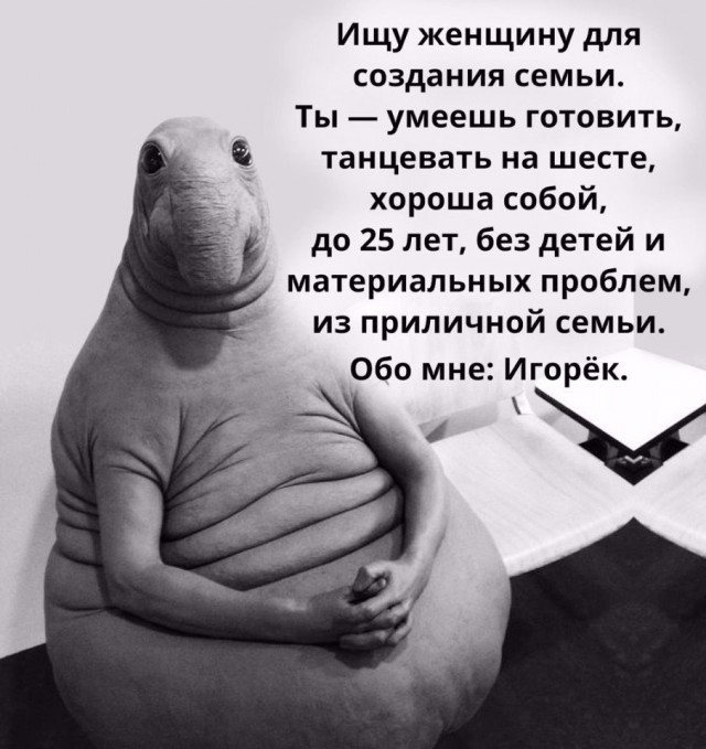 Баянистая годнота - 2