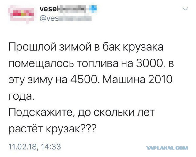 Абсурд, треш и прочие непотребства.