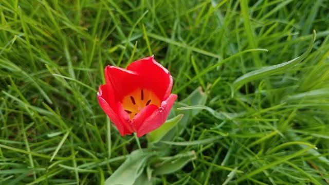 Просто Природа