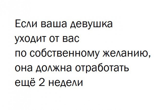 Работа не волк, но картинки сами себя не посмотрят!