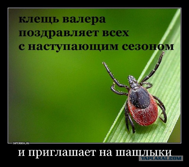 Подборка интересных и веселых картинок