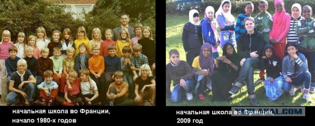 Сборная Германии прилетела в Россию обычным эконом-классом