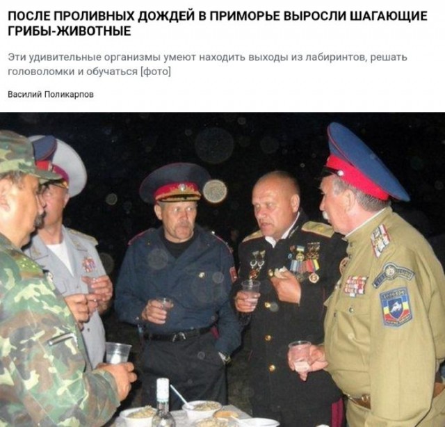 Прикольные картинки абавсём