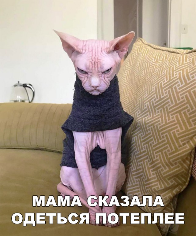 Немного милоты