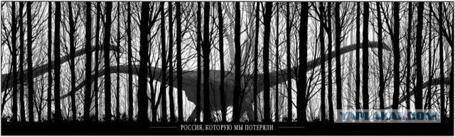 Немного странных картинок в этот четверг