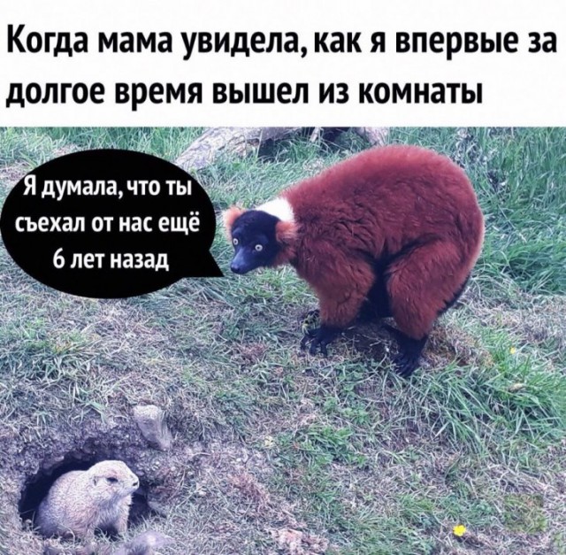 Немного картинок для настроения