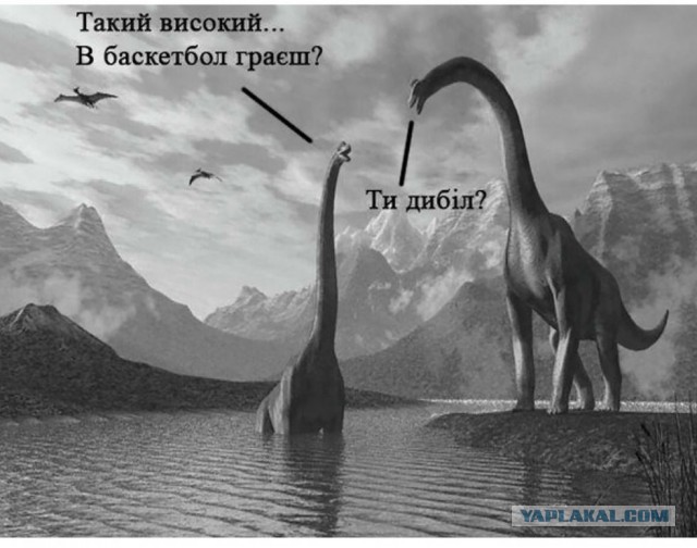 Немного картинок с надписями и без - 15